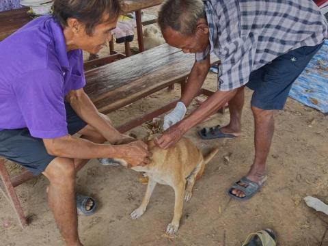 โครงการรณรงค์ป้องกันโรคพิษสุนัขบ้า ประจำปี 2566