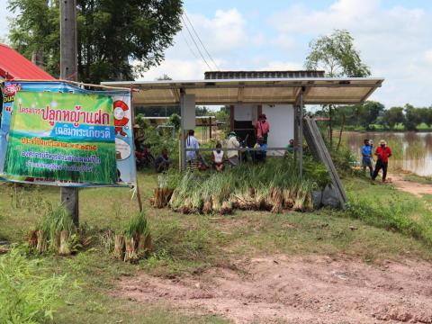 โครงการหญ้าแฝกปลูกหญ้าแฝกเฉลิมพระเกียรติ ประจำปีงบประมาณ 2565