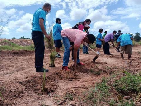 โครงการหญ้าแฝกปลูกหญ้าแฝกเฉลิมพระเกียรติ ประจำปีงบประมาณ 2565