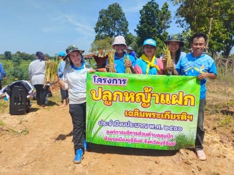 โครงการปลูกหญ้าแฝกเฉลิมพระเกียรติ ประจำปีงบประมาณ พ.ศ. 2566