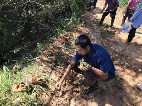 โครงการปลูกหญ้าแฝกเฉลิมพระเกียรติ ประจำปีงบประมาณ พ.ศ. 2566