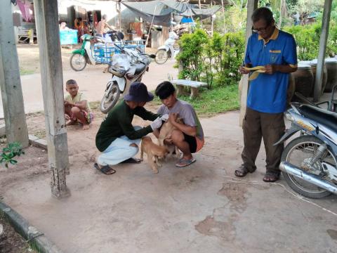 โครงการป้องกันโรคพิษสุนัขบ้าประจำปีงบประมาณ พ.ศ. 2567