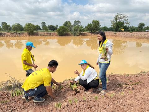 โครงการปลูกหญ้าแฝกพระเกียรติ ประจำปีงบประมาณ 2567