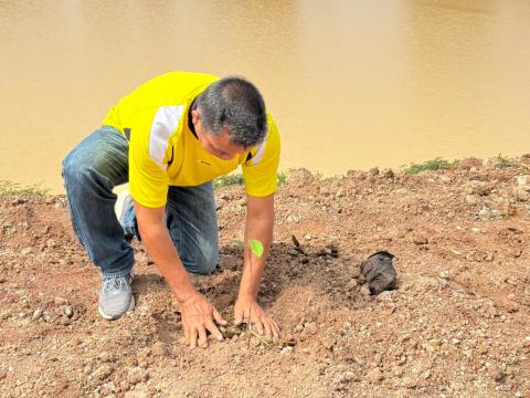 โครงการปลูกต้นเฉลิมพระเกียรติ ประจำปีงบประมาณ 2567