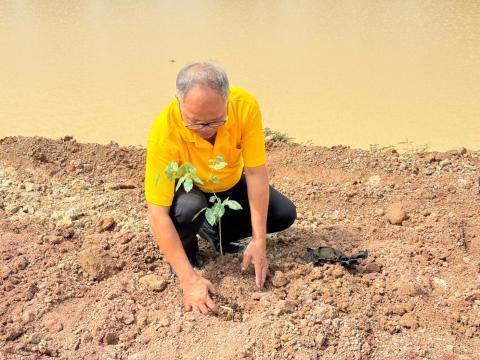 โครงการปลูกต้นเฉลิมพระเกียรติ ประจำปีงบประมาณ 2567