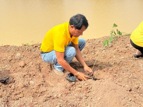 โครงการปลูกต้นเฉลิมพระเกียรติ ประจำปีงบประมาณ 2567