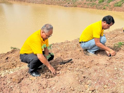 โครงการปลูกต้นเฉลิมพระเกียรติ ประจำปีงบประมาณ 2567