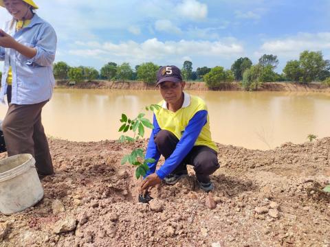 โครงการปลูกต้นเฉลิมพระเกียรติ ประจำปีงบประมาณ 2567