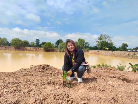 โครงการปลูกต้นเฉลิมพระเกียรติ ประจำปีงบประมาณ 2567