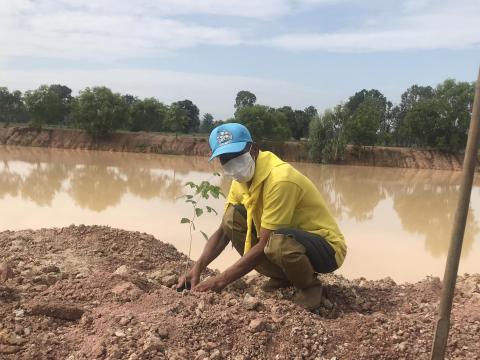 โครงการปลูกต้นเฉลิมพระเกียรติ ประจำปีงบประมาณ 2567