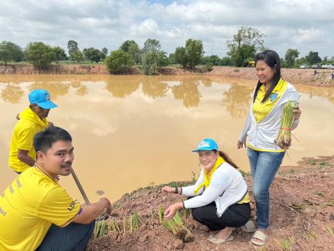 โครงการปลูกต้นเฉลิมพระเกียรติ ประจำปีงบประมาณ 2567