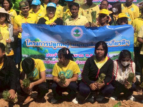 โครงการปลูกหญ้าแฝกเฉลิมพระเกียรติ 2567