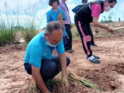 “โครงการปลูกต้นไม้เฉลิมพระเกียรติ ประจำปีงบประมาณ 2565”